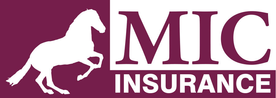 cropped-logotipo-MIC-INSURANCE-grande